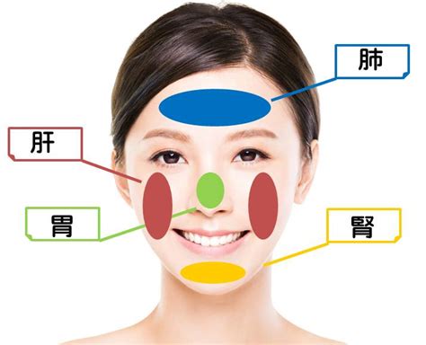 痘痘長的地方